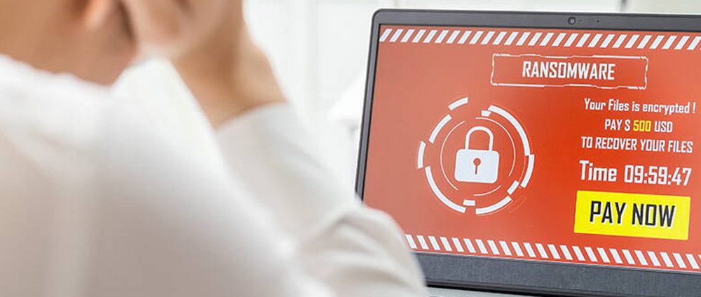 Phishing and Identity Fraud Case Study